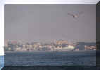 Pogled iz ladje na poti na Prineve otoke blizu Istanbula (143039 bytes)